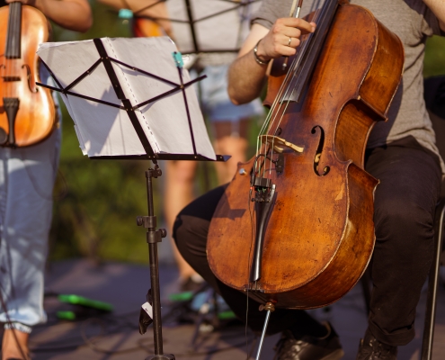 Violonchelo y violín en concierto clásico al aire libre